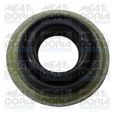 Seal Ring, nozzle holder